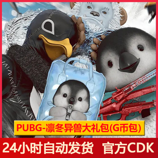 G币包 PUBG皮肤绝地求生凛冬异兽大礼包吃鸡雪人套装 舞蹈头盔