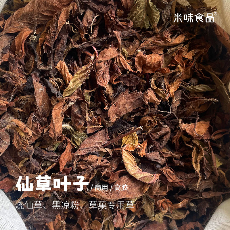 仙草干草叶子黑凉粉台湾烧仙草龟苓膏原料仙人粄草粿冻高胶质新鲜