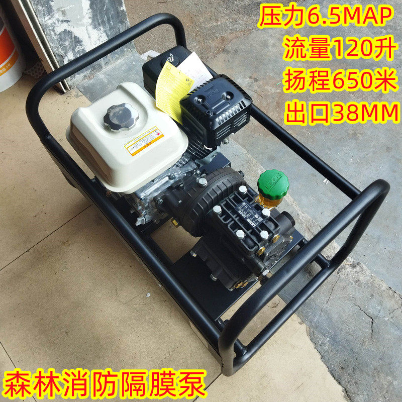 高扬程650米森林消防隔膜泵