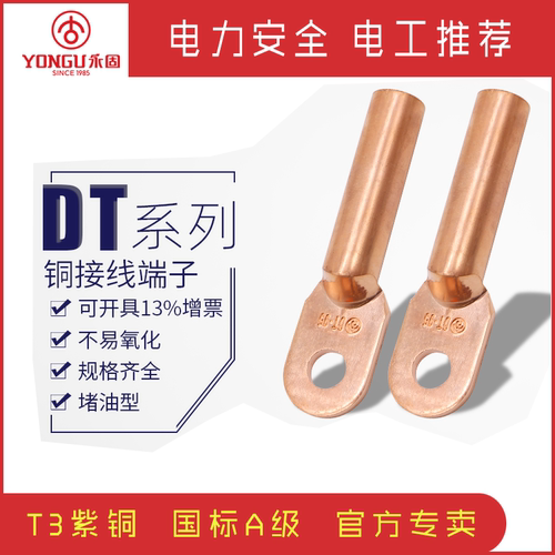 铜线鼻子DT-16-35-95平方接线端子电缆接头堵油线耳国标镀锡永固