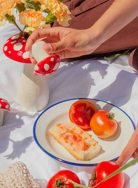 西班牙DOIY蘑菇调味罐2只胡椒盐可爱造型陶瓷礼物创意摆件居家