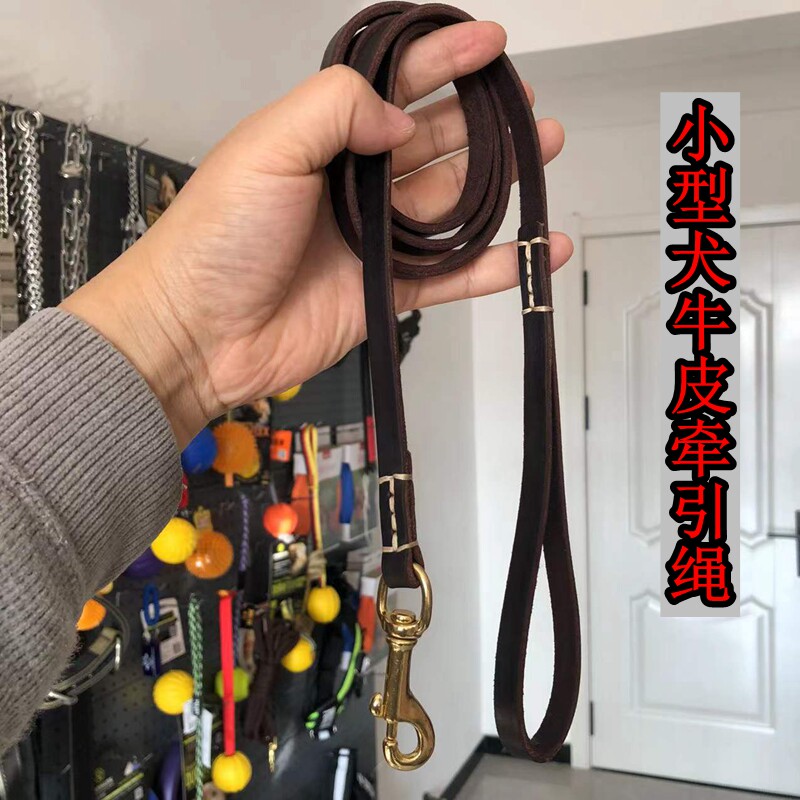 小型犬牵引绳宠物狗狗遛狗泰迪