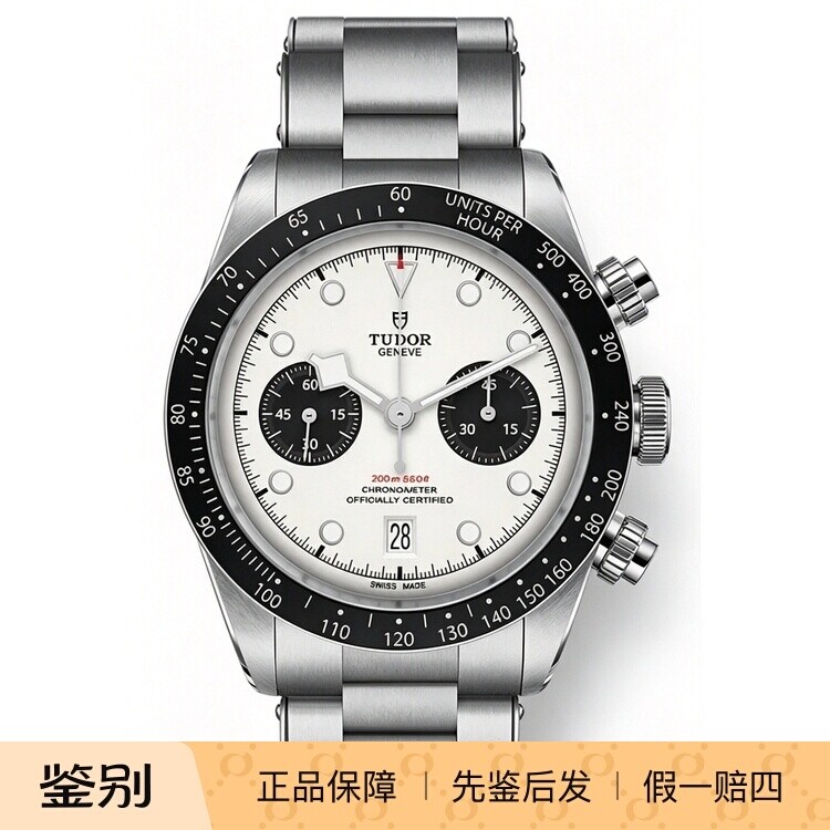 帝舵碧湾M79360N-0002 白熊猫 计时盘 夜光 日期 刻度测速计字圈
