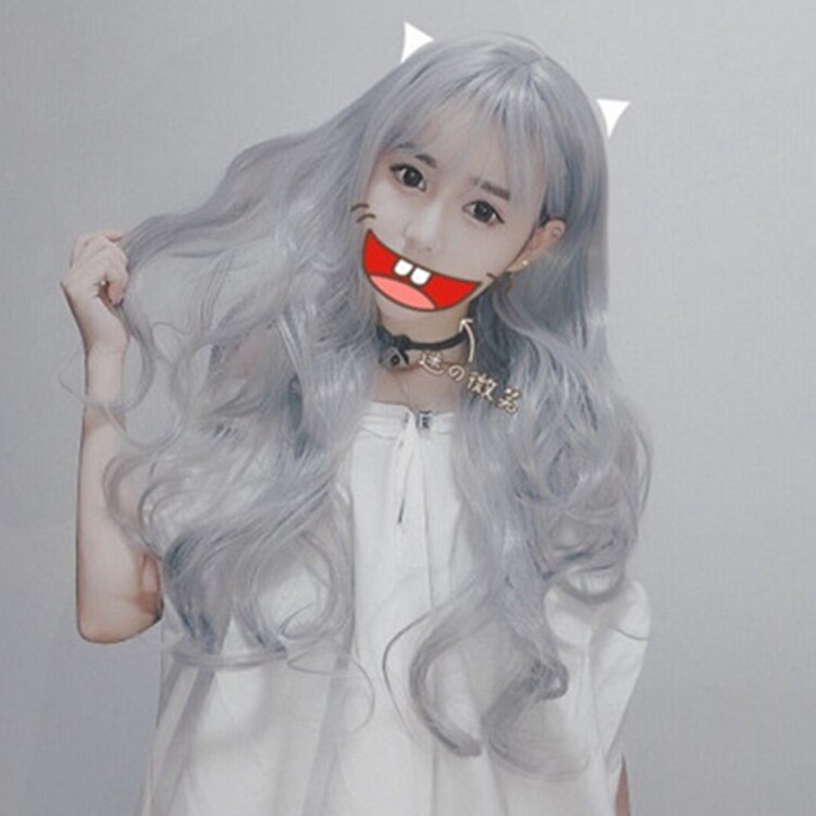 Perruque Les cheveux longs - Ref 2612785 Image 1