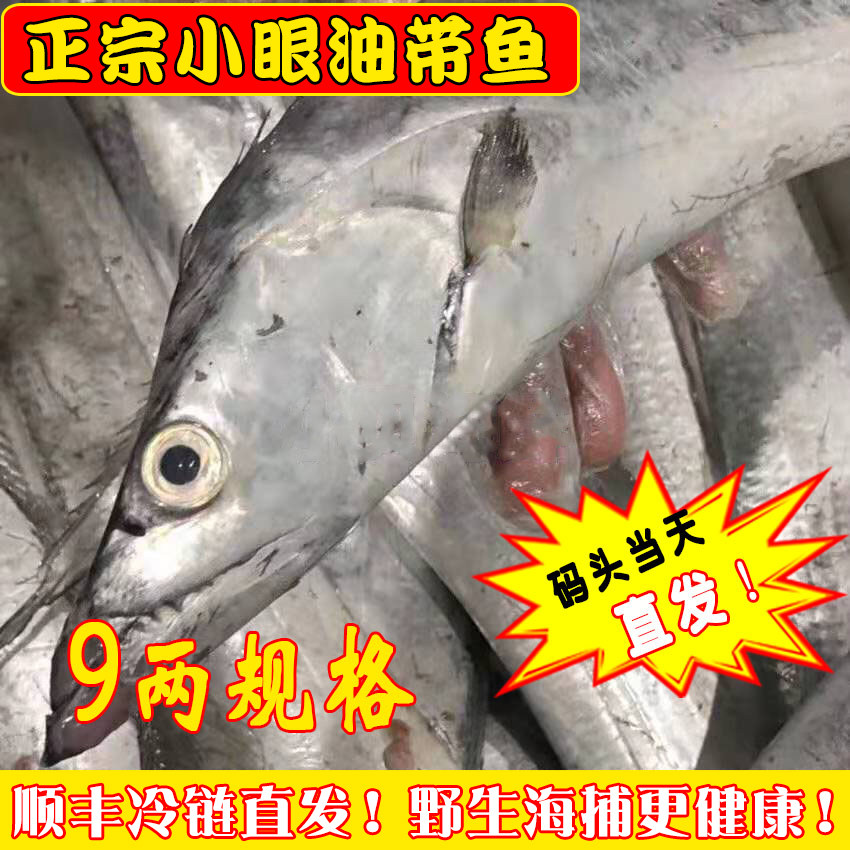 9两/条小眼油带鱼 老鹰带 特带鱼