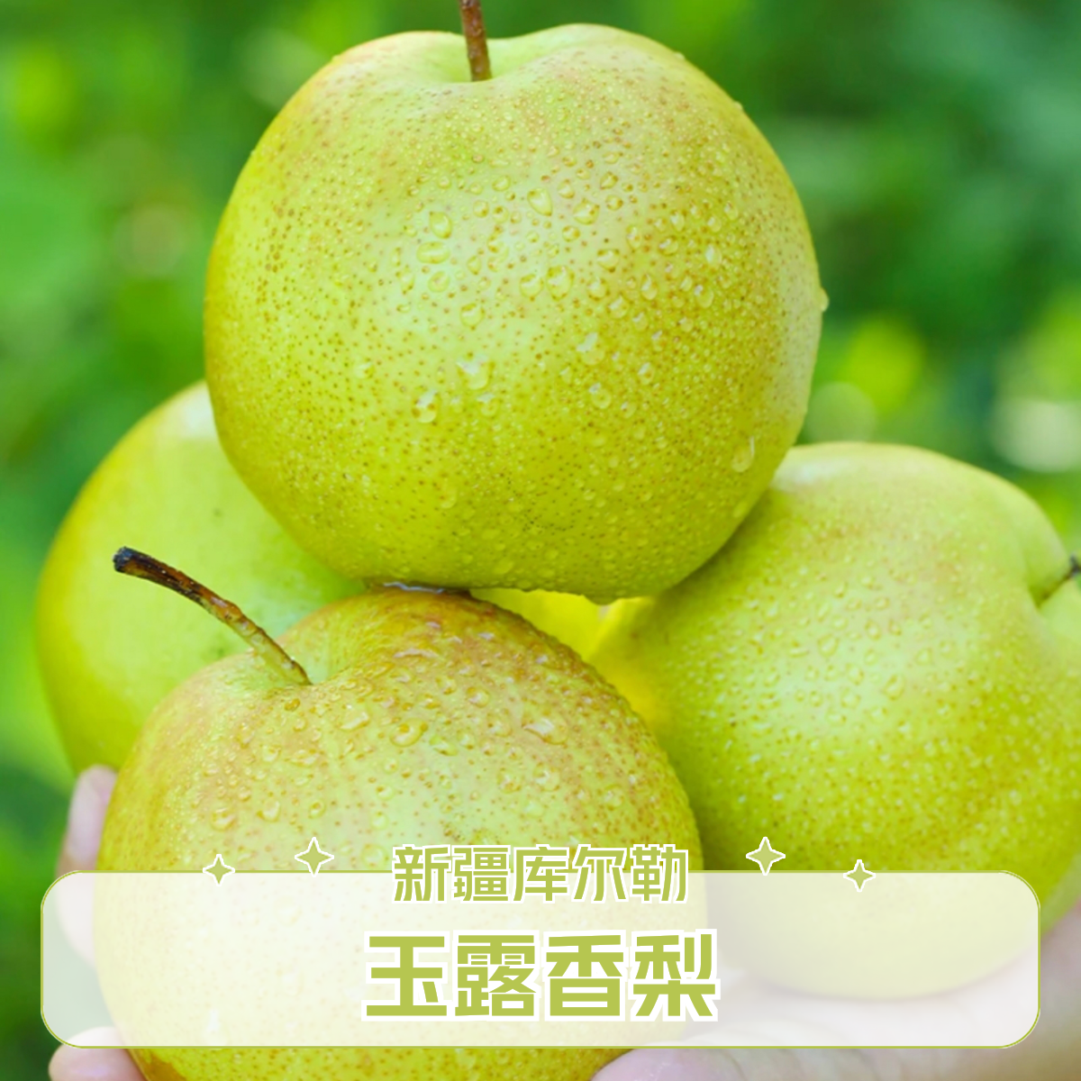 新疆库尔勒玉露香梨子新鲜水果香甜爆汁酥脆多汁营养健康美味包邮,水产肉类/新鲜蔬果/熟食,梨,淘宝优惠券,粉丝福利购,淘宝优惠卷