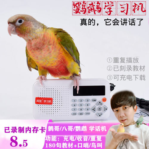 主人没空，让学习机替你教鸟说话