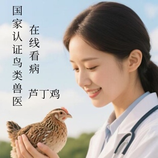 芦丁鸡在线问诊，禽类芦丁鸡家养鸡散养鸡专业兽医经验丰富！