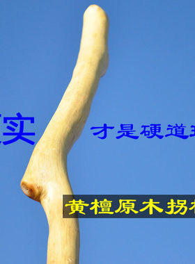 寻杖堂正宗黄檀原木拐杖