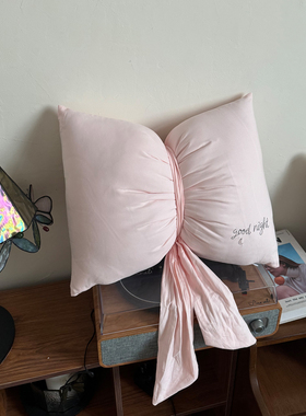 纯色蝴蝶结绣花全棉抱枕汽车沙发靠垫婚庆道具店铺装饰靠枕少女心