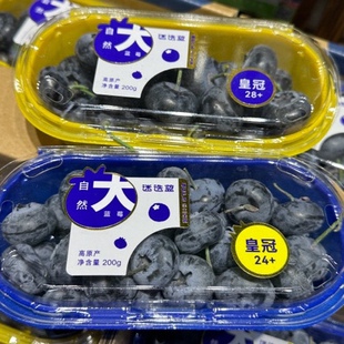 迷迭蓝莓脆甜大颗巨无霸蓝莓国产蓝莓高原产大蓝莓皇冠2824加蓝莓