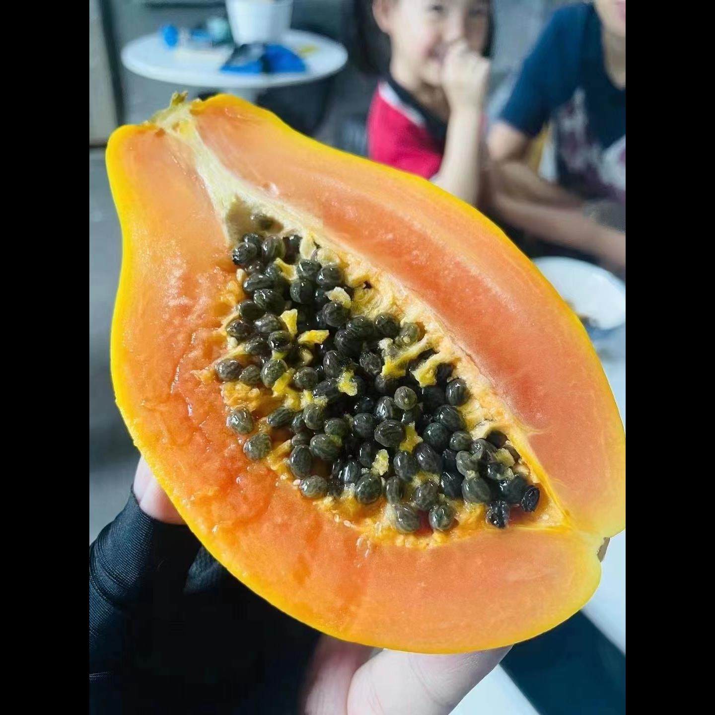 木瓜树多汁完熟空运红心特大香甜牛奶果现货上熟宫崎木瓜顺丰