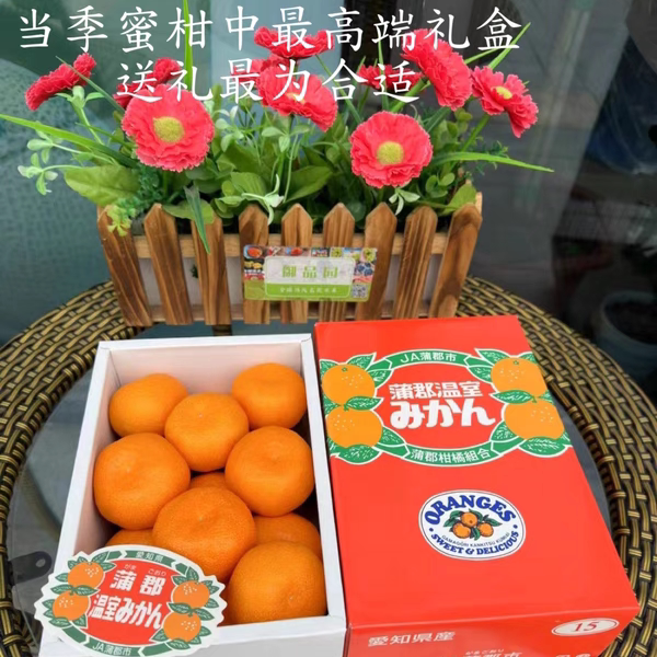 浦郡蜜柑浦郡蜜桔日本进口蜜柑品种国产浦郡蜜柑纯甜爆汁