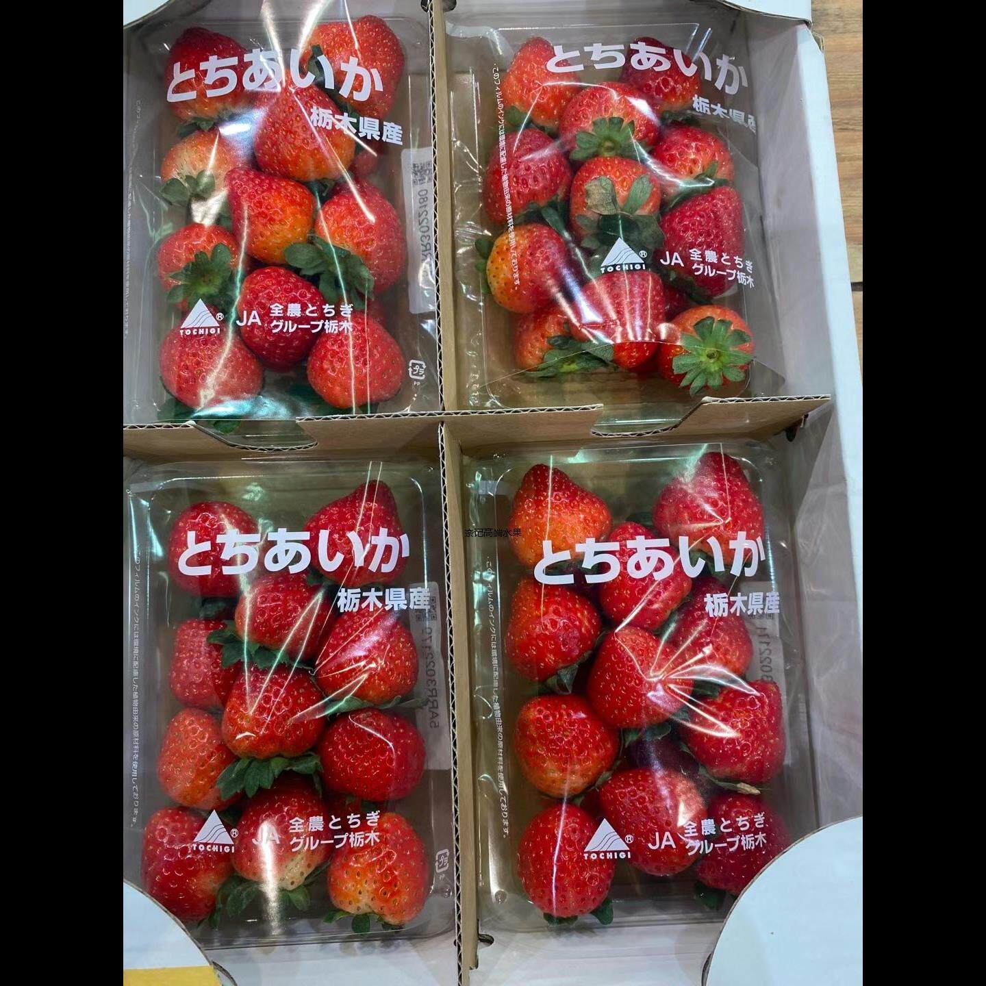 水果草莓多奶油佐贺博士红应季孕妇草莓送礼礼盒水果日本宝宝节日