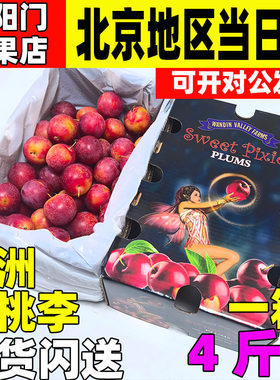 当季水果顺丰澳大利亚4斤李子