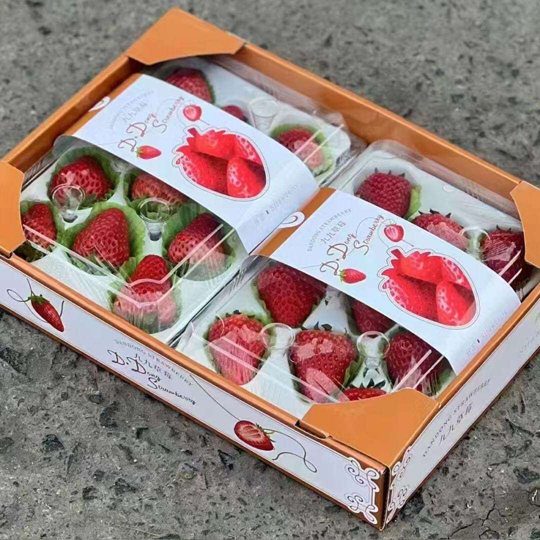 正宗丹东99牛奶草莓红颜草莓新鲜孕妇儿童水果甜草莓礼盒装顺丰