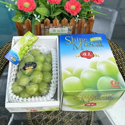 正宗冈山晴王日本品种葡萄脆甜爆汁皮薄肉厚礼盒款节日礼盒送礼