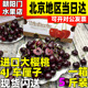 顺丰现货智利进口车厘子4J超大果桑提娜黑珍珠进口大樱桃孕妇水果