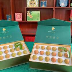 特级珍品观音绿荔枝精选果王特优级新鲜现摘大果东莞樟木头18粒装