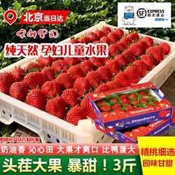 丹东99草莓东港九九甜牛奶草莓礼盒大果新鲜红颜奶油孕妇水果当季