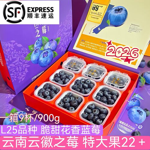 特大云南云澂之莓高山25花香蓝莓鲜果小懒杯脆甜新鲜小蓝杯装礼盒