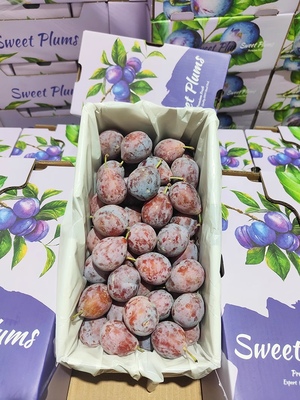 新鲜西梅法兰西西梅现货水果当季