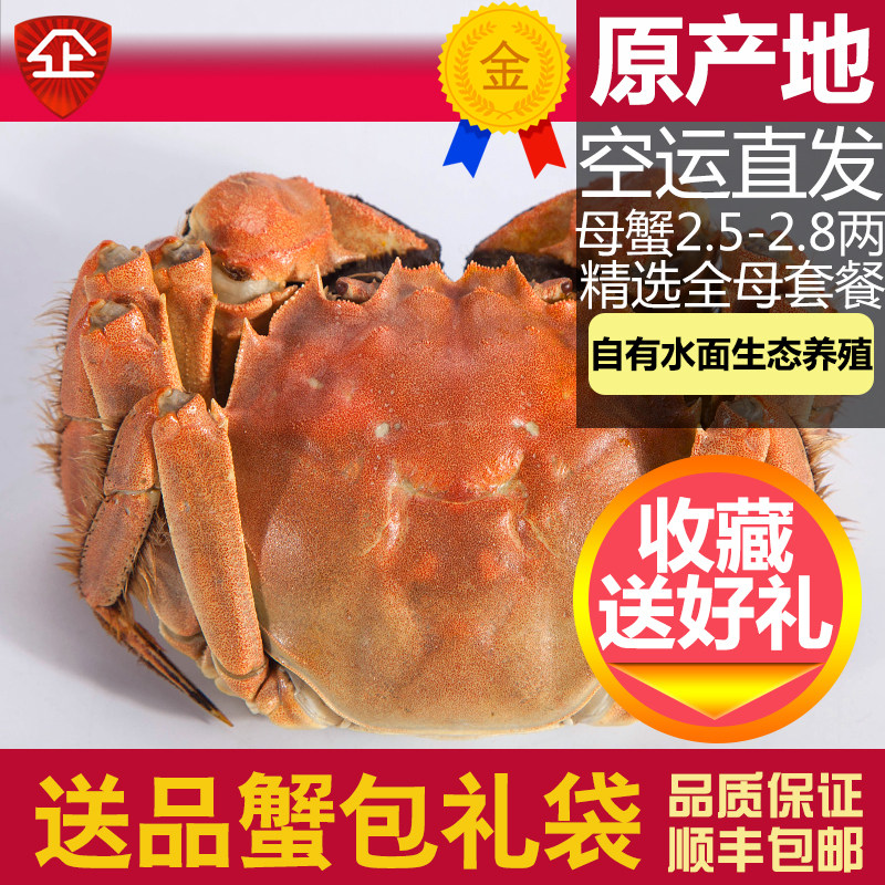 活蟹10只阳澄活蟹10只阳澄