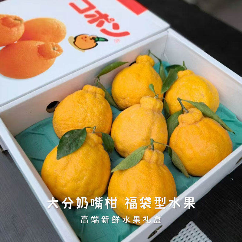 大分奶嘴柑新鲜水果礼盒凸嘴柑橙子丑橘奶嘴柑孕妇水果