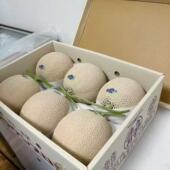 日本同款 静冈哈密瓜白冰网红现货新鲜水果整箱送礼非进口哈密瓜