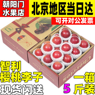 智利樱桃李新鲜时令孕妇水果进口大李子5斤原箱礼盒顺丰包邮