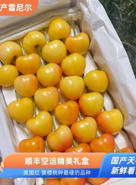 雷尼尔RAINIER国产大连黄樱桃蜜甜车厘子礼盒顺丰空运
