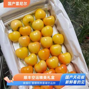 雷尼尔RAINIER国产大连黄樱桃蜜甜车厘子礼盒顺丰空运