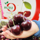 奥数智利空运进口车厘子当季 新鲜樱桃AREKO品种孕妇水果顺丰澳洲