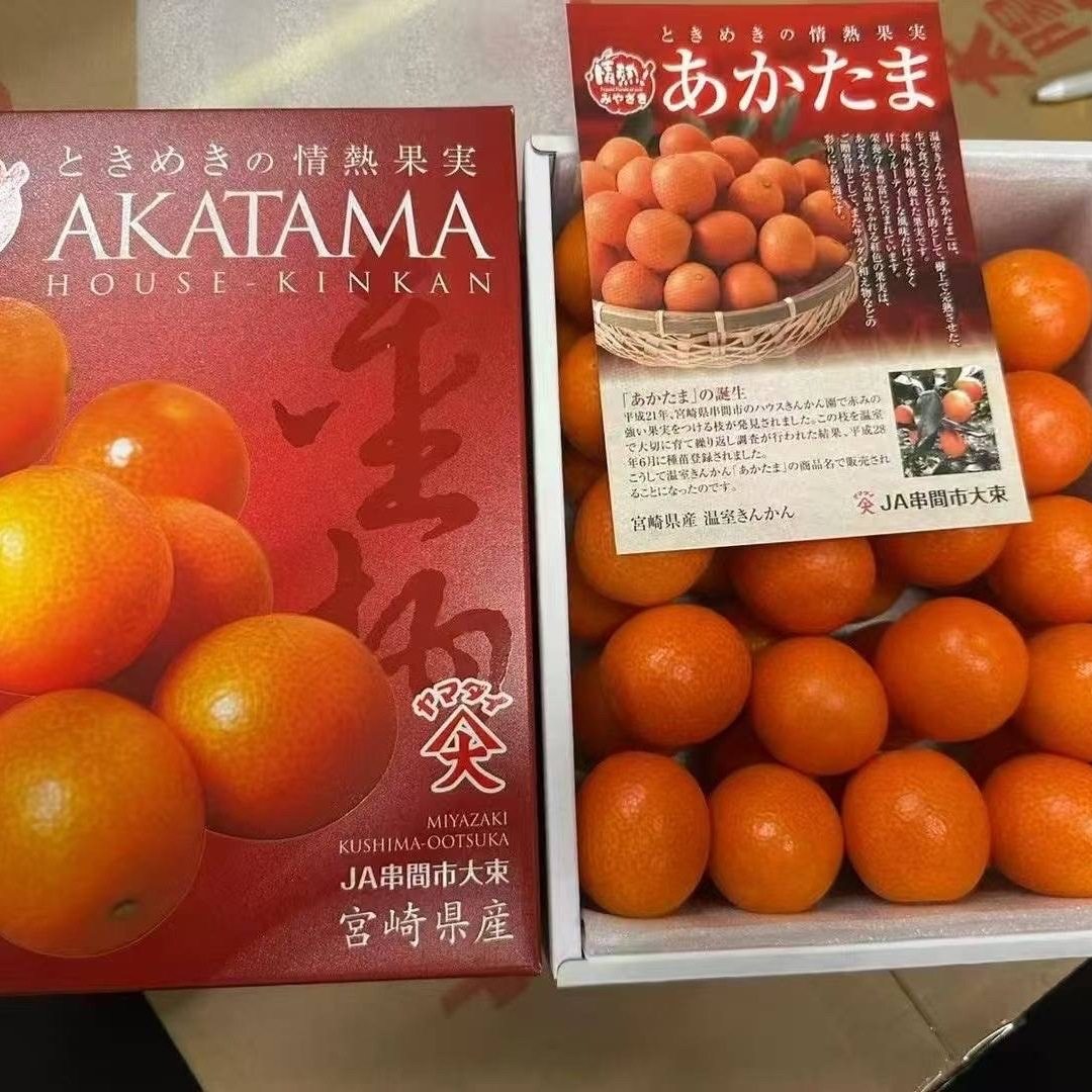 日本引进非进口一箱现货孕妇应季橘子鹿儿岛金桔VS宫崎金桔2斤