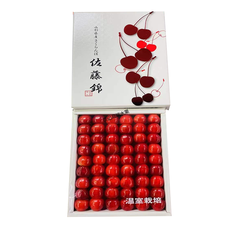 50g黑珍珠中国大山形佐藤锦樱