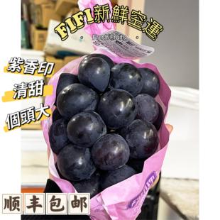 信州长野紫提紫香印600g 顺丰空运 单串装