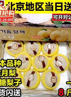 日本品种秋月梨冰糖梨子羊脂梨南水梨 礼盒装 当季时令新鲜水果