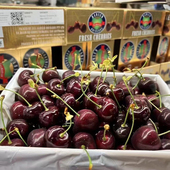 澳大利亚汉森科迪亚车厘子原箱4斤礼盒当季 新鲜进口樱桃水果