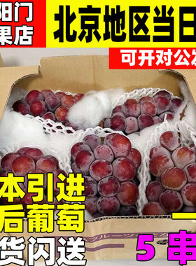 日本水果整箱礼盒高端现货同城