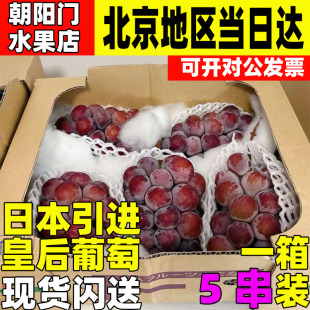 日本引进水果皇后葡萄冈山现货非进口阳光玫瑰无籽青提孕妇应季