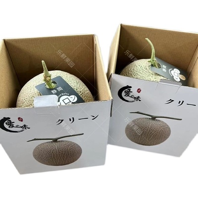 静冈哈密瓜水果礼盒装静冈日本