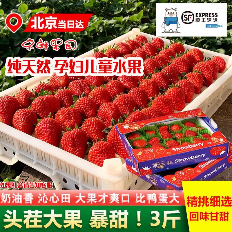 丹东99草莓东港九九甜牛奶草莓礼盒大果新鲜红颜奶油孕妇水果当季