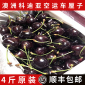 澳洲空运进口车厘子新鲜科迪亚大樱桃4斤礼盒装