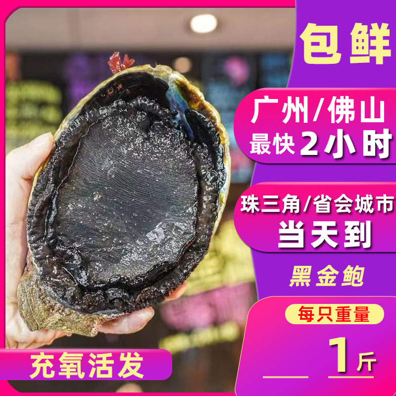 鲜活 澳洲鲍/新西兰黑金鲍/蓝鲍南非星空鲍鱼 进口刺身鲍鱼