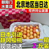 日本引进黄车厘子3J4J5J特大果雷尼尔黄樱桃礼盒新鲜水果北京同城