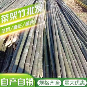 菜园户外篱笆豆角跳舞小竹子