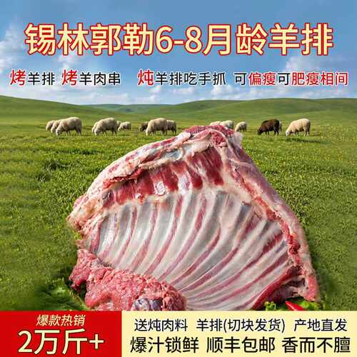 内蒙古羊排新鲜羊肉6斤
