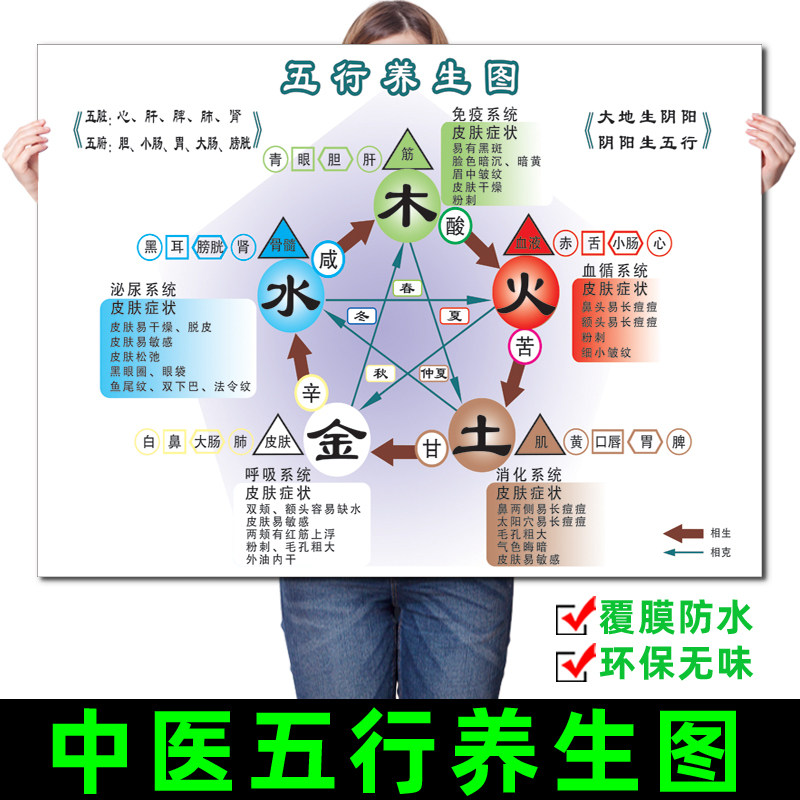 中医阴阳五行图解养生画人体五腑六脏十二时辰运行时间表挂图海报