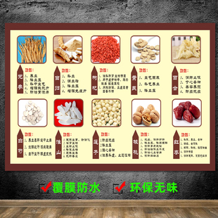 人参灵芝冬虫夏草大挂图中草药材简介功效中药店展板海报大挂画