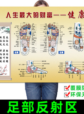 足部反射区挂图脚底按摩保健足疗足浴艾灸刮痧拔罐经络穴位图海报